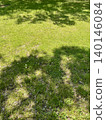 A landscape with lawns and shaded trees 140146084