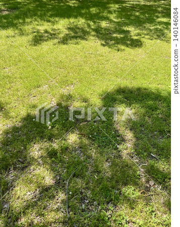 A landscape with lawns and shaded trees 140146084