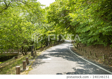 Road wrapped in fresh green Road wrapped in fresh green 140146151