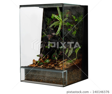 Bioactive glass terrarium tank with green plants 140146376