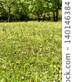 A landscape of grasslands and trees 140146384