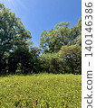 A landscape of blue sky, grassland, and trees. 140146386