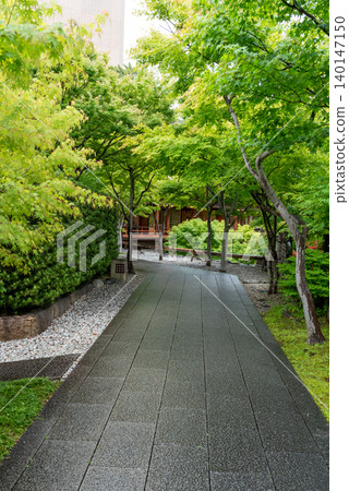 Rainy Garden Path in a Traditional Japanese Garden with Fresh Green Trees Rainy Garden Path in a Traditional Japanese Garden with Fresh Green Trees 140147150