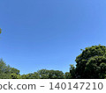 A landscape of early summer blue skies and trees 140147210