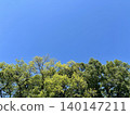 A landscape of early summer blue skies and trees 140147211