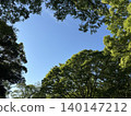 A landscape of early summer blue skies and trees 140147212