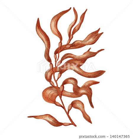 Watercolor illustration of underwater plants, seaweed, corals. Colorful ocean flora. Marine biology and aquarium decoration elements. Suitable for design, prints, postcards, sea travel Watercolor illustration of underwater plants, seaweed, corals. Colorful ocean flora. Marine biology and aquarium decoration elements. Suitable for design, prints, postcards, sea travel 140147365