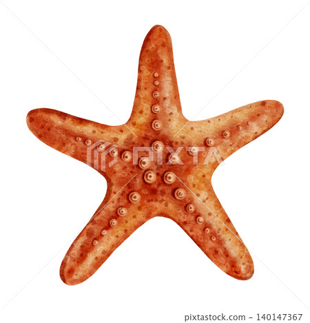 Watercolor illustration of an orange starfish with detailed texture. Sea star perfect for prints, postcards, sea travel, jewelry or marine design. Children's, nautical, travel themes. Watercolor illustration of an orange starfish with detailed texture. Sea star perfect for prints, postcards, sea travel, jewelry or marine design. Children's, nautical, travel themes. 140147367