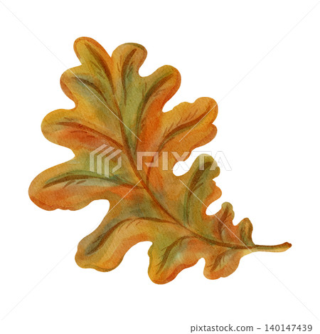 Detailed watercolor autumn leaf isolated on white background. Hand-drawn fall foliage element for seasonal school decorations, September banners, and Thanksgiving design. 140147439