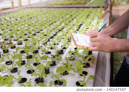 Farmer monitoring organic hydroponic red oak in plant nursery farm. Smart agriculture technology. Smart agriculture technology concept. 140147597