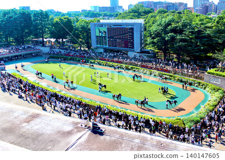 [Tokyo] Fuchu in early summer: The paddock at Tokyo Racecourse is bustling with many people. 140147605