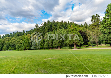 Nature of mixed forest. Landscape of meadow at park. Summer park zone nature. Scenic landscape of woodland. Public park. Nature of forest. Green forest wood landscape in summer. Scenery environment Nature of mixed forest. Landscape of meadow at park. Summer park zone nature. Scenic landscape of woodland. Public park. Nature of forest. Green forest wood landscape in summer. Scenery environment 140147866