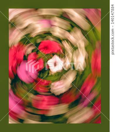 Abstract Floral Spiral in Pink and White Abstract Floral Spiral in Pink and White 140147884