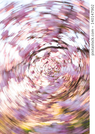 Abstract Pink Blossom Vortex at Sunset 140147902