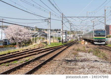 【東海道E231系列車與早川站的櫻花】 140147940