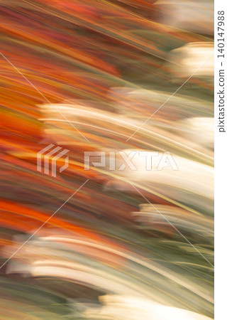 Abstract Autumn Flow of Orange and White Flowers Abstract Autumn Flow of Orange and White Flowers 140147988