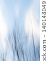 Abstract Bare Trees in Motion Against Soft Evening Sky 140148049