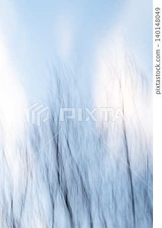 Abstract Bare Trees in Motion Against Soft Evening Sky 140148049