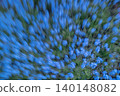 Dreamlike Blue Forget-Me-Not Flowers in Motion 140148082