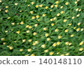 Dreamy Yellow Spring Wildflowers in Motion 140148110