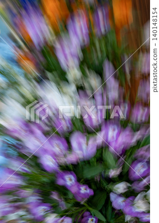 Dreamy Purple Flowers with Intentional Camera Movement 140148154