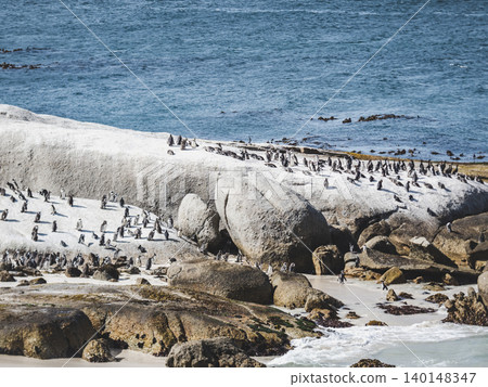 African penguins stand on sunlit granite rocks 140148347
