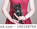 Young woman in red dress gently holding a small fluffy black kitten with white chest patch. Ideal for themes of pet care, human-animal bond 140148768