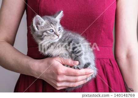 Tiny grey tabby kitten being held against a woman's vibrant red dress. Heartwarming shot perfect for veterinary services, pet adoption and lifestyle advertising 140148769