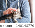 Man in blue sweater gently petting a fluffy tabby kitten. Heartwarming shot emphasizing trust, pet care and bond between humans and animals 140148770