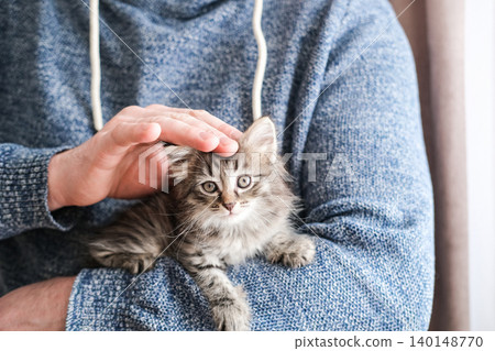 Man in blue sweater gently petting a fluffy tabby kitten. Heartwarming shot emphasizing trust, pet care and bond between humans and animals 140148770