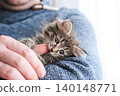 Cute fluffy tabby kitten playfully biting a man's finger while nestled on his arm. Concept of pet bonding, play, care 140148771