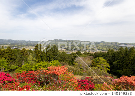 Kasama Azalea Park: Azaleas under a blue sky Kasama Azalea Park: Azaleas under a blue sky 140149388
