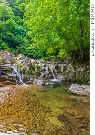 Fresh greenery and a clear stream (along the Seseragi Kaido road in Kiyomi-cho, Takayama City, Gifu Prefecture) Fresh greenery and a clear stream (along the Seseragi Kaido road in Kiyomi-cho, Takayama City, Gifu Prefecture) 140149419