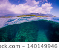 Underwater views and mountains of Yakushima Island (partially submerged) 140149946
