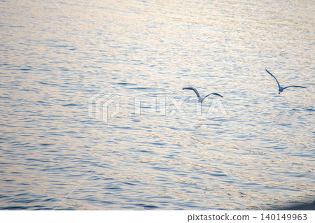 Two herons crossing the sparkling ocean side by side. Two herons crossing the sparkling ocean side by side. 140149963