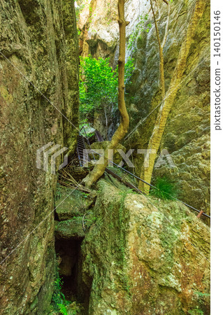 Chiiwa Gorge, Cat Rock, Aichi Prefecture Chiiwa Gorge, Cat Rock, Aichi Prefecture 140150146