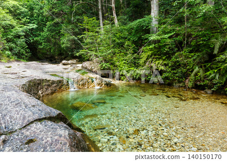 Chiiwa Gorge, Cat Rock, Aichi Prefecture Chiiwa Gorge, Cat Rock, Aichi Prefecture 140150170