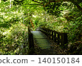 Chiiwa Gorge, Cat Rock, Aichi Prefecture 140150184