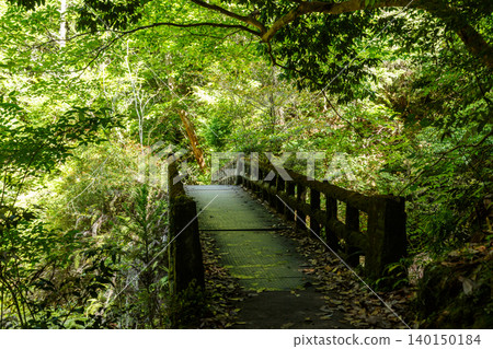 Chiiwa Gorge, Cat Rock, Aichi Prefecture Chiiwa Gorge, Cat Rock, Aichi Prefecture 140150184