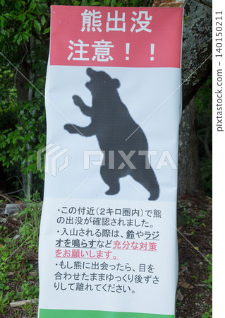Chiiwa Gorge, Cat Rock, Aichi Prefecture Chiiwa Gorge, Cat Rock, Aichi Prefecture 140150211