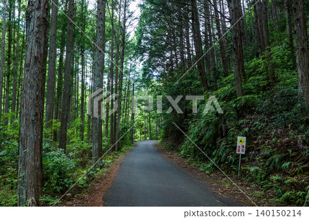 Chiiwa Gorge, Cat Rock, Aichi Prefecture Chiiwa Gorge, Cat Rock, Aichi Prefecture 140150214