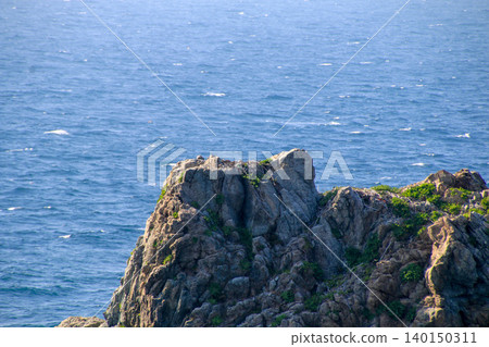 近江島 近江島 140150311