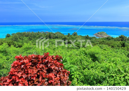 [Okinawa Prefecture] Coral reefs of Iharama Bay as seen from Tamatorizaki Observatory on a clear day (Ishigaki Island) 140150429