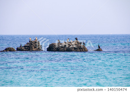Tsunoshima Tsunoshima 140150474