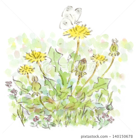 一幅水彩插圖,描繪了一隻菜粉蝶停在初夏田野裡的蒲公英上。 一幅水彩插圖,描繪了一隻菜粉蝶停在初夏田野裡的蒲公英上。 140150678