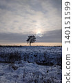 Snowy winter landscape with a lone tree under a cloudy sky at sunset 140151599
