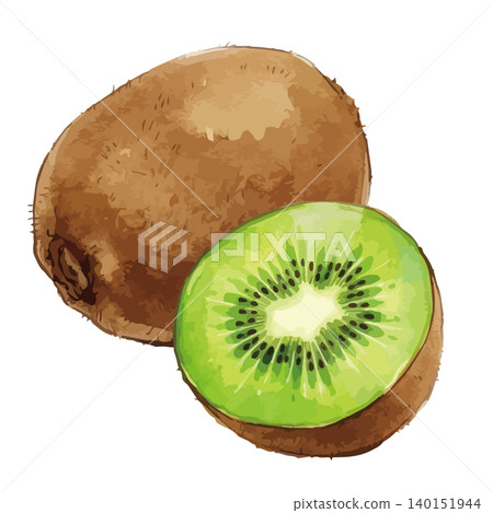 A mouthwatering illustration of a green kiwi. A mouthwatering illustration of a green kiwi. 140151944