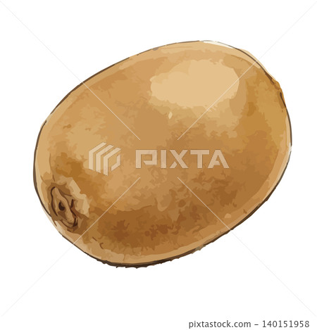 A mouthwatering illustration of a golden kiwi. A mouthwatering illustration of a golden kiwi. 140151958