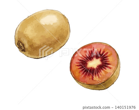 A mouthwatering illustration of a ruby red kiwi. A mouthwatering illustration of a ruby red kiwi. 140151976