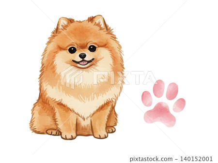 Watercolor-style illustration of a Pomeranian's paw prints 140152001